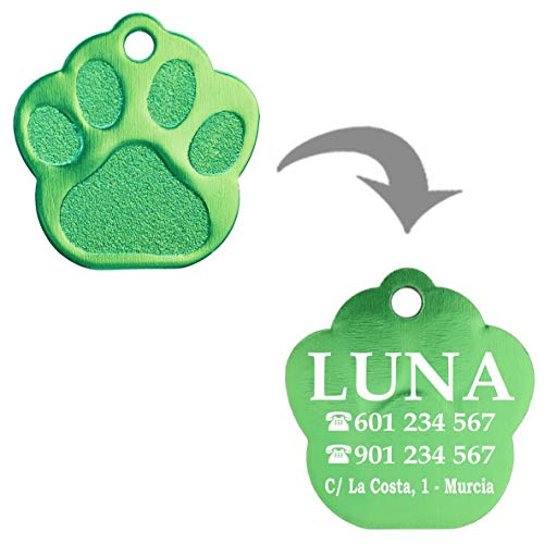 Iberiagifts - Placa en Forma de Huella para Mascotas pequeñas-Medianas Chapa Medalla de identificación Personalizada para Collar Perro Gato Mascota grabada (Plateado)