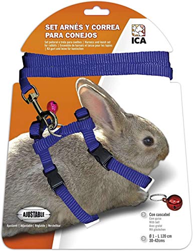 ICA DA1027 Set de Arnés y Correa para Conejos, Azul