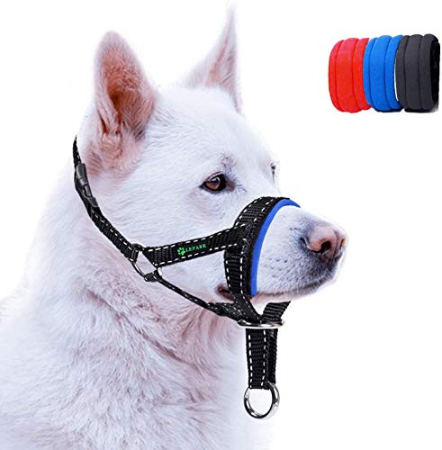 ILEPARK Cuello De Cabeza para Perros con Cinturino Riflettente, Cabestro para Perros, Regolabile E Facilmente Controllabile. (L,Azul)