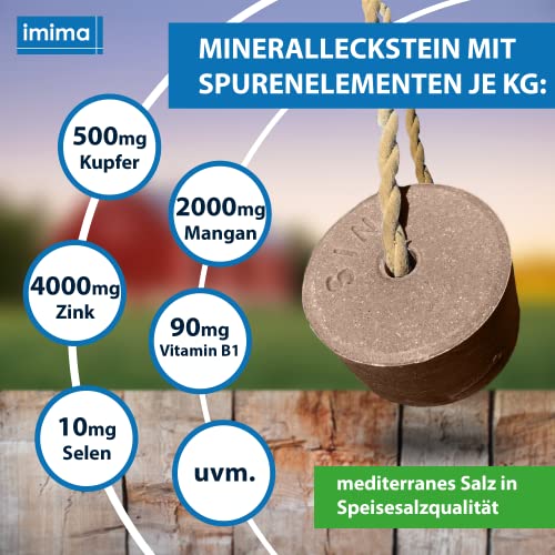 imima EQUIBLOCK - Juego de 4 piedras minerales de 3 kg