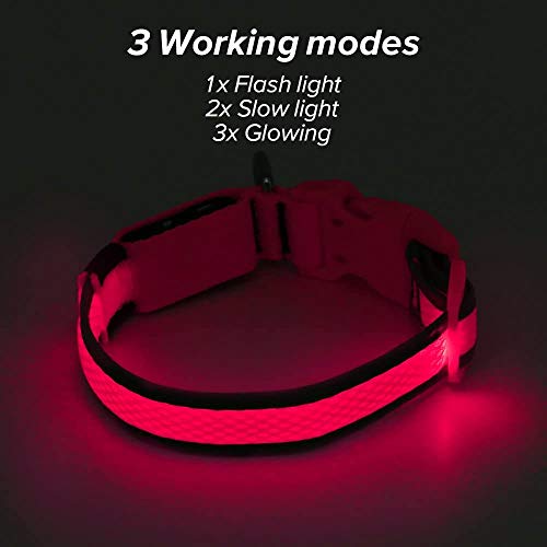 Iseen Collar de perro LED Micro USB recargable con luz brillante para mascotas cómodo y suave malla de seguridad para perros pequeños, medianos y grandes (L, rosa)
