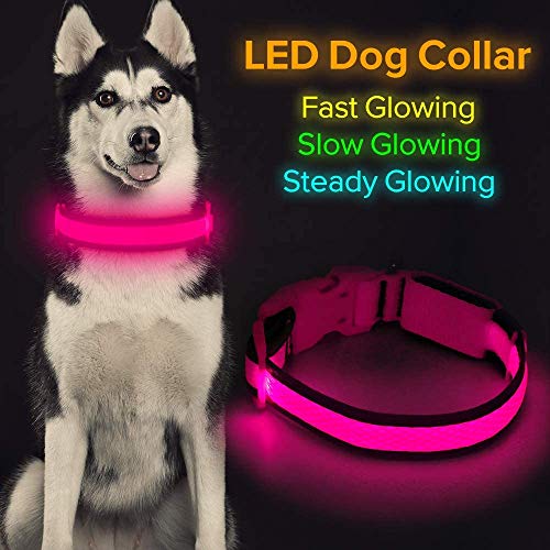 Iseen Collar de perro LED Micro USB recargable con luz brillante para mascotas cómodo y suave malla de seguridad para perros pequeños, medianos y grandes (L, rosa)
