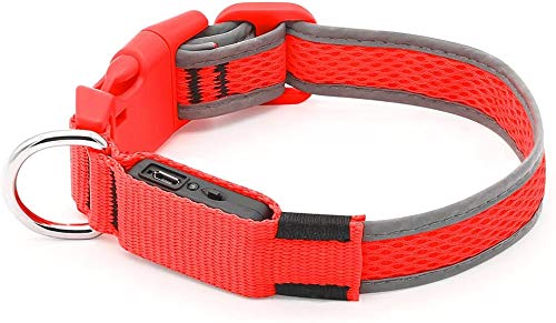 Iseen - Collar para perros con luz led brillante, con micro USB recargable, para mascotas, malla cómoda y suave, seguro, para perros pequeños, medianos y grandes (talla L, color rojo)