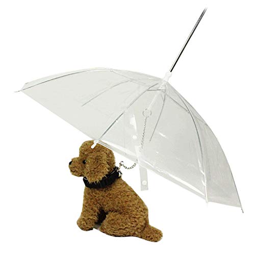 Jiamins Paraguas para perros pequeños y gatos, fácil y suave, portátil, transparente con cadena, para mantener seco en la lluvia, herramienta de equipo al aire libre