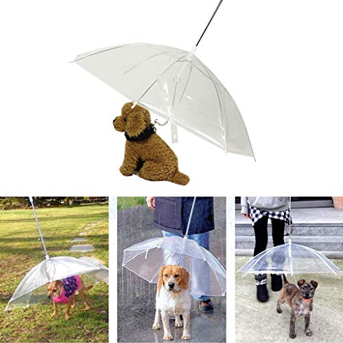 Jiamins Paraguas para perros pequeños y gatos, fácil y suave, portátil, transparente con cadena, para mantener seco en la lluvia, herramienta de equipo al aire libre