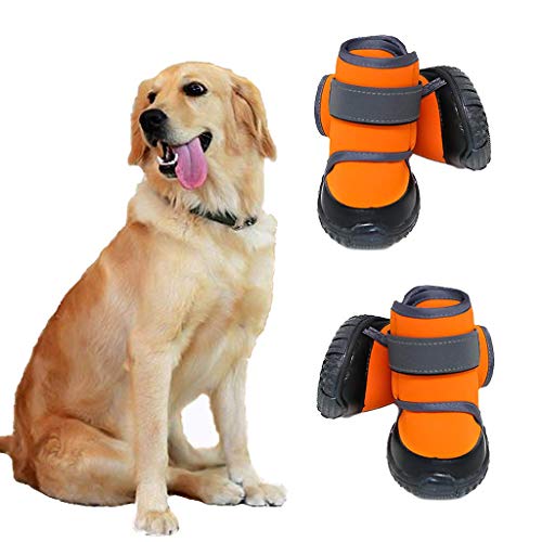 JiAmy Zapatos para Perros Botas para Perros para Patas Medianas y Grandes con Suela Antideslizante, Velcro Reflectante (Naranja 4 Piezas) (XXL)