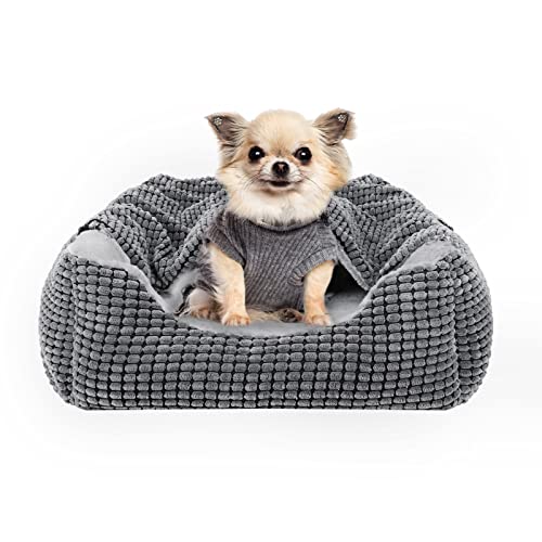 JOEJOY Cama para perros pequeños con manta, sofá rectangular para perros y gatos, cama para perros pequeños, cama para mascotas, antideslizante, 51 x 48 x 15 cm, se adapta hasta 9 kg de mascotas
