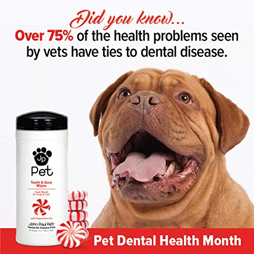 John Paul Pet Toallitas de dientes y goma para mascotas para perros y gatos, infusionadas con aceite de menta, hojas de 7 pulgadas x 7 pulgadas en dispensador de 45 unidades