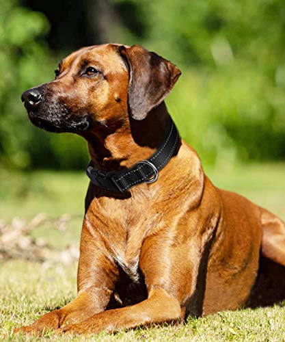 Joytale Collar Perro Reflectante,Nylon Collar Acolchado con Neopreno,Ajustable para Perros Grande,40-60cm,Negro