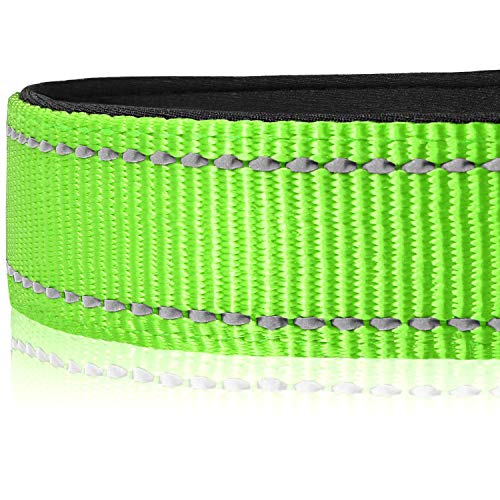 Joytale Collar Perro Reflectante,Nylon Collar Acolchado con Neopreno,Ajustable para Perros Grande,40-60cm,Verde