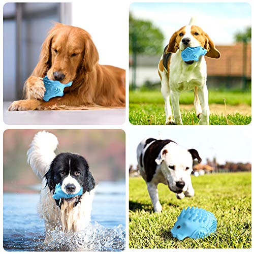 Joytale Juguetes para Perros, Juguetes Perros Grandes Resistentes, Juguetes Interactivos para Perros, Azul