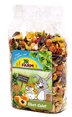 JR Farm Obst-Salat 200g