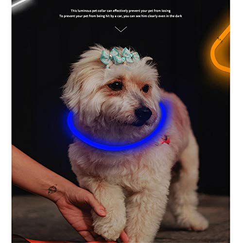 Jsdoin - Collar para Perro con LED, 1 Pieza, Recargable por USB, con luz, Collar de Seguridad para Mascotas con 3 Modos Brillantes, Collar de Silicona Flexible para Perros, Ideal para Perros pequeños
