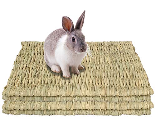 Juego 4 Grass Alfombrillas para conejo,hámster,cobaya,chinchilla y animales pequeños tejidos,ropa de cama y juguetes para masticar,Protege las patas de la jaula de alambre,ahorra alfombras,muebles