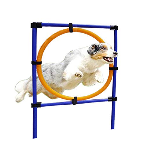 Juegos de agilidad para perros, equipo de deporte para animales de compañía, juguetes de entrenamiento para perros, salto en altura al aire libre en un círculo