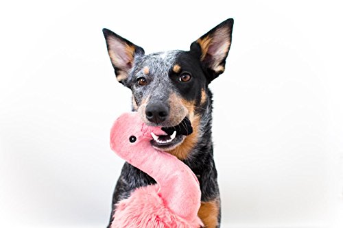 Juguete duradero para perro Lola the Flamingo
