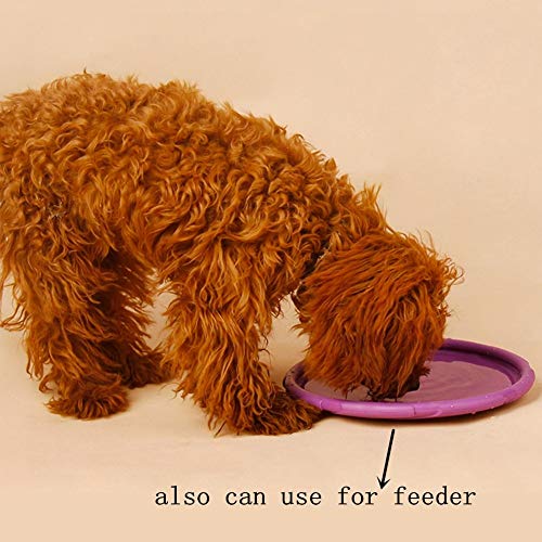 Juguete Frisbee para Perros Set de 1 Goma interactiva a Prueba de masticación, Juguetes para Cachorros Productos de adiestramiento para Perros Frisbee