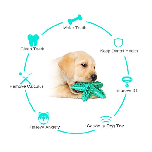 Juguete Molar para Mascotas Palillo para Masticar Perro, Cepillo de Dientes para Perros Limpiar Los Dientes Profundamente Resistente a Las Mordeduras de Goma Natural