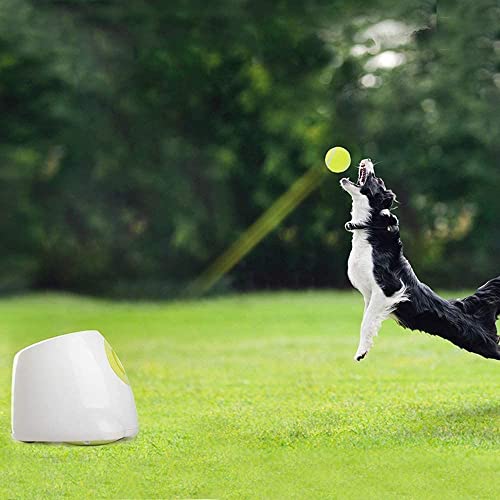 Juguetes para Morder Bola de juguete for perros, máquina de bolas automática de juguete de perro interactivo, máquina de lanzamiento de tenis de perros tamaño pequeño y mediano, con 3 bolas juguete pa