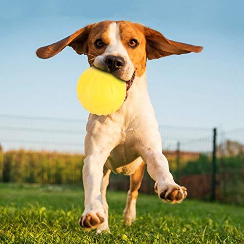 Juguetes para Perros Bolas Sólidas, Duraderas portátiles EVA Amarillo Sólido Resistente a la mordedura Mascota Flotante Entrenamiento para Perros Pelota para Masticar Juguetes