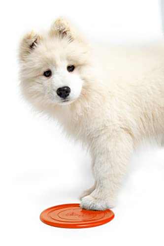 Juguetes para Perros Frisbee Perro - Juguete Perro Resistente Mascota Interactiva - Haga Que Su Perro Esté Feliz Y Saludable - El Juguete Horas De Diversión