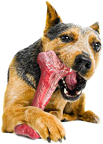 Juguetes Perro para Masticadores Agresivos de Razas Grandes, Juguetes morder para Perros, Masticar Hueso con Goma, Sabor de Carne, interactivos para Cachorro de Perros pequeños medianos y Grandes