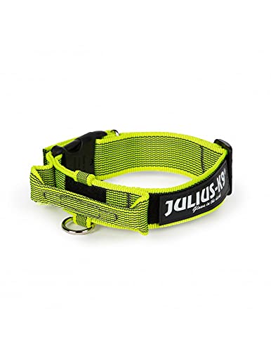 Julius-K9 Collar Color & Gray con Asa - 40 mm, Neon