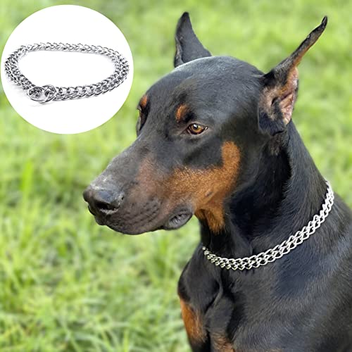 JYHY - Collar para Perro de Lujo, con Cadena en Forma de P y Cadena de Metal de Hierro y Doble Fila, para Entrenar a los Perros pequeños, medianos y Grandes (2.5mm × 45cm)