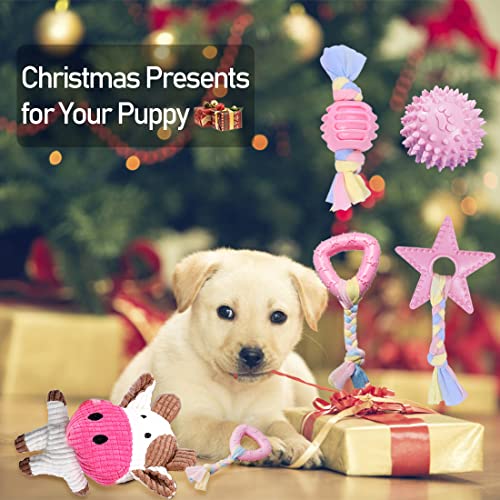 JYPS Juguetes para Masticar Cachorros, Juguete para Masticar para Perros, Juguetes interactivos para Mascotas, Regalo Rosa para 8 semanas Cachorros pequeños y Perros medianos (Rosado-5 Piezas)