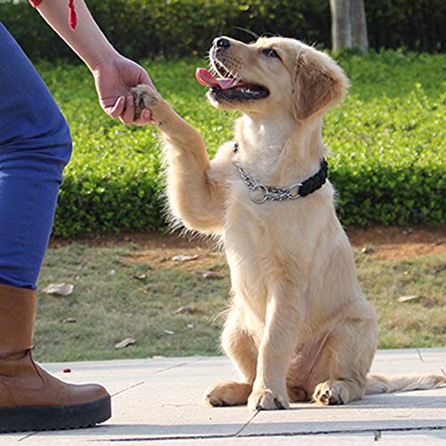 kangOnline Collar de perro de cuero con tachuelas para collar Pitbull Mastín Mastín