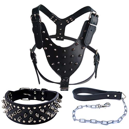 kangOnline Collar de perro de cuero con tachuelas para collar Pitbull Mastín Mastín