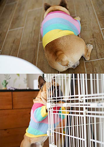 Khemn Bulldog suéter de punto arcoíris, suéter para perro, ropa para bulldog francés, bulldog inglés, Bull Terrier, Pug