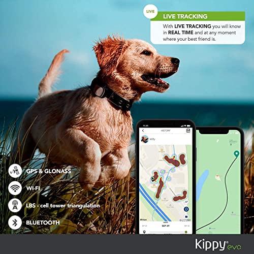 KIPPY EVO - El Nuevo Collar GPS para Perros y Gatos - Seguimiento de Actividad, 38 gr, Waterproof, Bateria 10 dias, Yellow Lemon