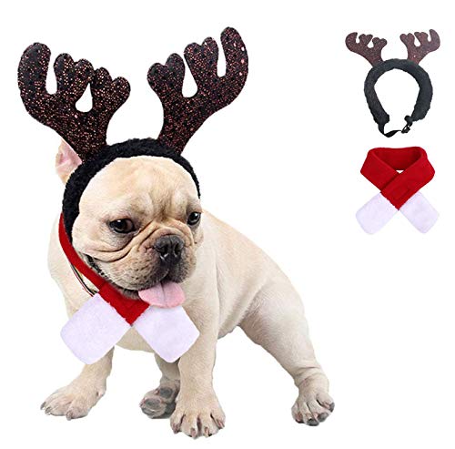 Kungfu Mall Traje de Navidad para perro pequeño disfraz de cornamenta de reno de Navidad sombrero y bufanda traje de Navidad rojo para mascotas