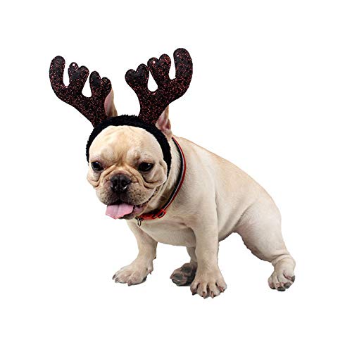 Kungfu Mall Traje de Navidad para perro pequeño disfraz de cornamenta de reno de Navidad sombrero y bufanda traje de Navidad rojo para mascotas