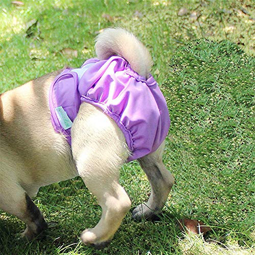 KunLS Pañales Perro Pañales para Perros Pañales Perro Macho Pañales Perro Hembra Pants For Dogs In Season Dog Pants For Bitchs In Season Nappies For Dogs Female Dog Sanitary Pants 3pcs,m