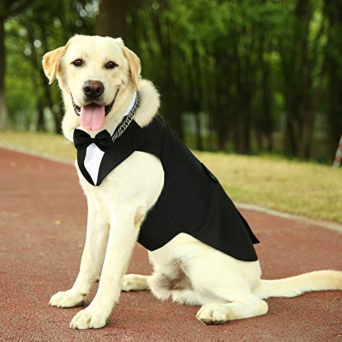 Kuoser Traje de Esmoquin para Perros de Tamaño Pequeño/Mediano/Grande, Ropa para Mascotas, Camisa para Cachorros con Lazo Negro Extraíble, Disfraz Formal para Bodas y Festivales