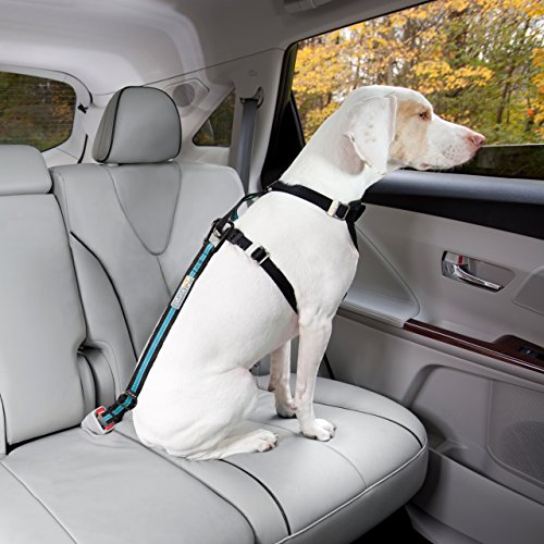 Kurgo Cinturón de Seguridad para Perros, Ajustable, con Hebilla para Coche, Correa de Perro Estilo Clip, Azul/Negro