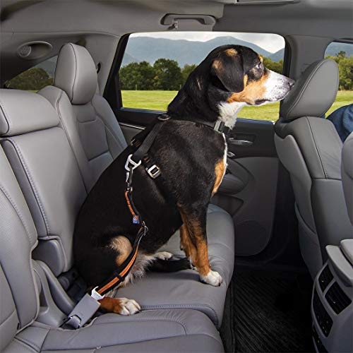 Kurgo Correa giratoria directa al cinturón de seguridad, cinturón de seguridad universal para perros, sin enredos, longitud ajustable, color naranja
