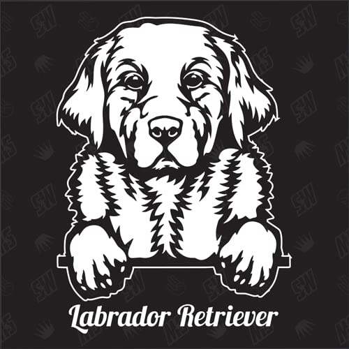 Labrador Retriever Versión 4 - pegatina, pegatina para perro, coche, razas de perros, pegatina, mestizo, mezcla, animales, mascota (TAMBIÉN POSIBLE CON DESEADO)