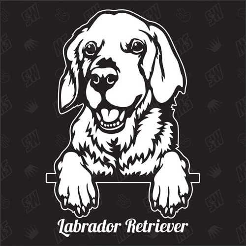 Labrador Retriever Versión 5 - pegatina, pegatina para perro, coche, perro, coche, razas de perros, pegatina, mestizo, mezcla, animales, mascota (TAMBIÉN POSIBLE CON DESEADO)