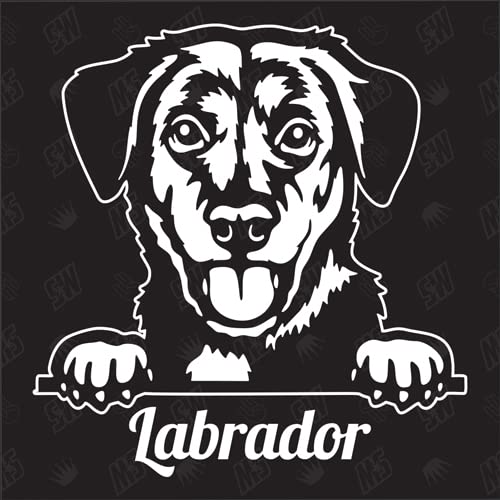 Labrador Versión 6 - pegatina, cachorro, perro, coche, razas de perros, mestizo, mezcla, animales, mascota (TAMBIÉN POSIBLE CON DESEADO)
