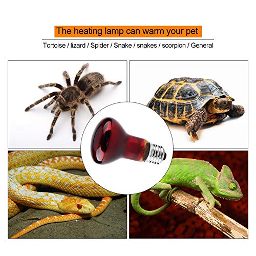 Lámpara de calor infrarrojo, Seguro no tóxico Calentamiento de luz suave Calentamiento de la lámpara Luz Cerámica Bombilla de calor Suministro de mascotas para la tortuga lagarto Reptil Anfibios(100W)