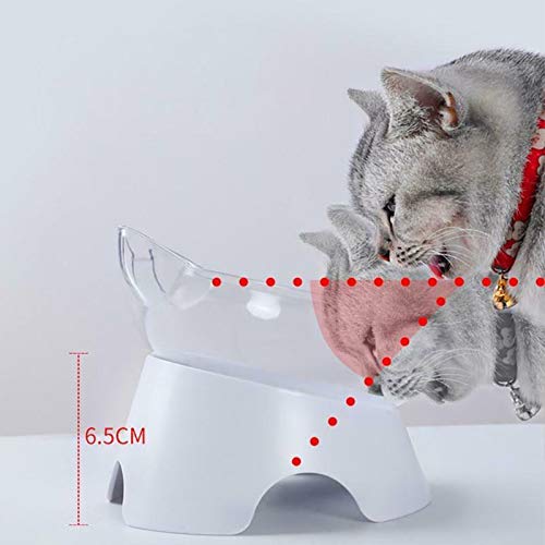 Lanbowo - Cuenco ortopédico antivómitos para gatos, Doppelschüssel