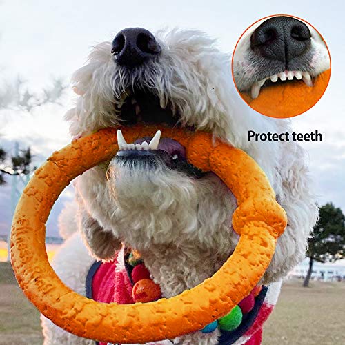 LaRoo Anillo de fitness para perros, disco volador, juguete indestructible, entrenamiento para mascotas en verano para perros medianos y pequeños (22 cm, naranja)