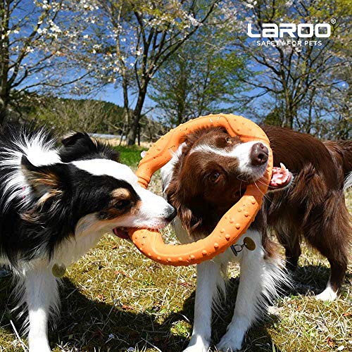LaRoo Anillo de fitness para perros, disco volador, juguete indestructible, entrenamiento para mascotas en verano para perros medianos y pequeños (22 cm, naranja)