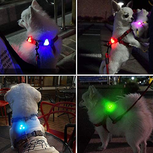 LaRoo Luz LED intermitente de seguridad para perros, gatos, colgante con 3 modos de parpadeo, luz de seguridad para paseos con el perro, deportes al aire libre (verde)