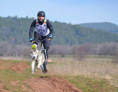 LASALINE Arnés para Perros X-Back para Bicicleta Canicross, esquí, jöring, Patinete, Color Negro Azul