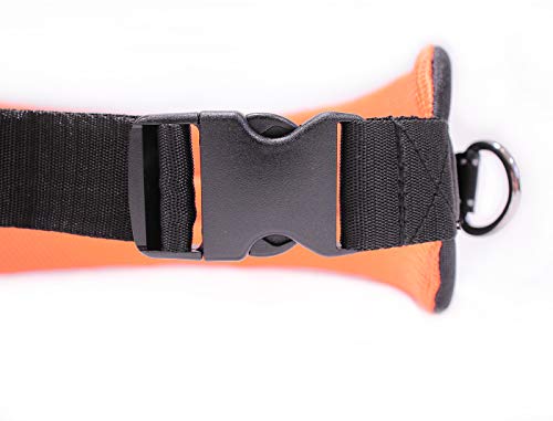 LASALINE Canicross - Cinturón abdominal para correr, color negro y naranja neón