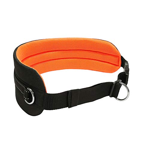 LASALINE Canicross - Cinturón abdominal para correr, color negro y naranja neón